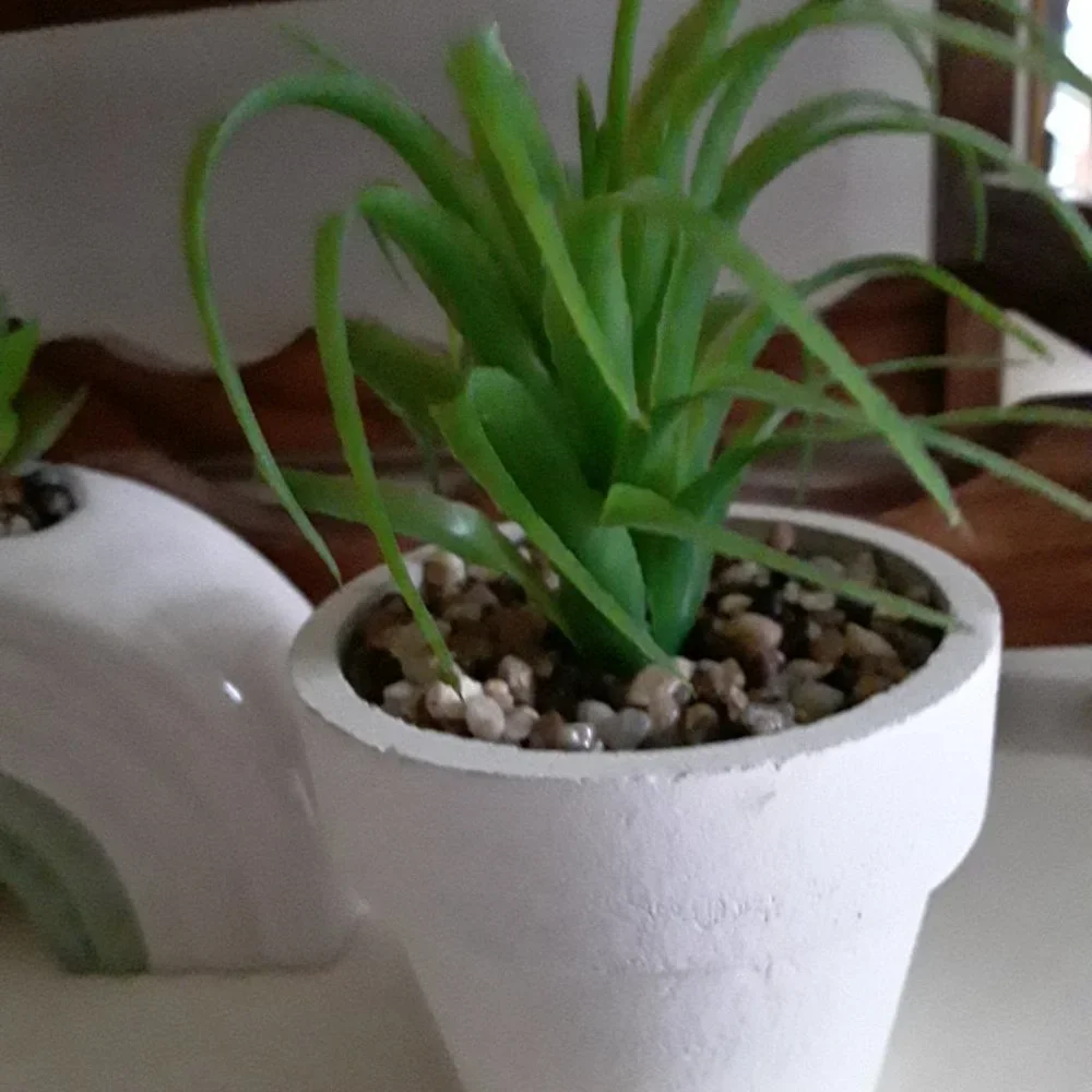 Trio of Ceramic Planters with Plastic Plants